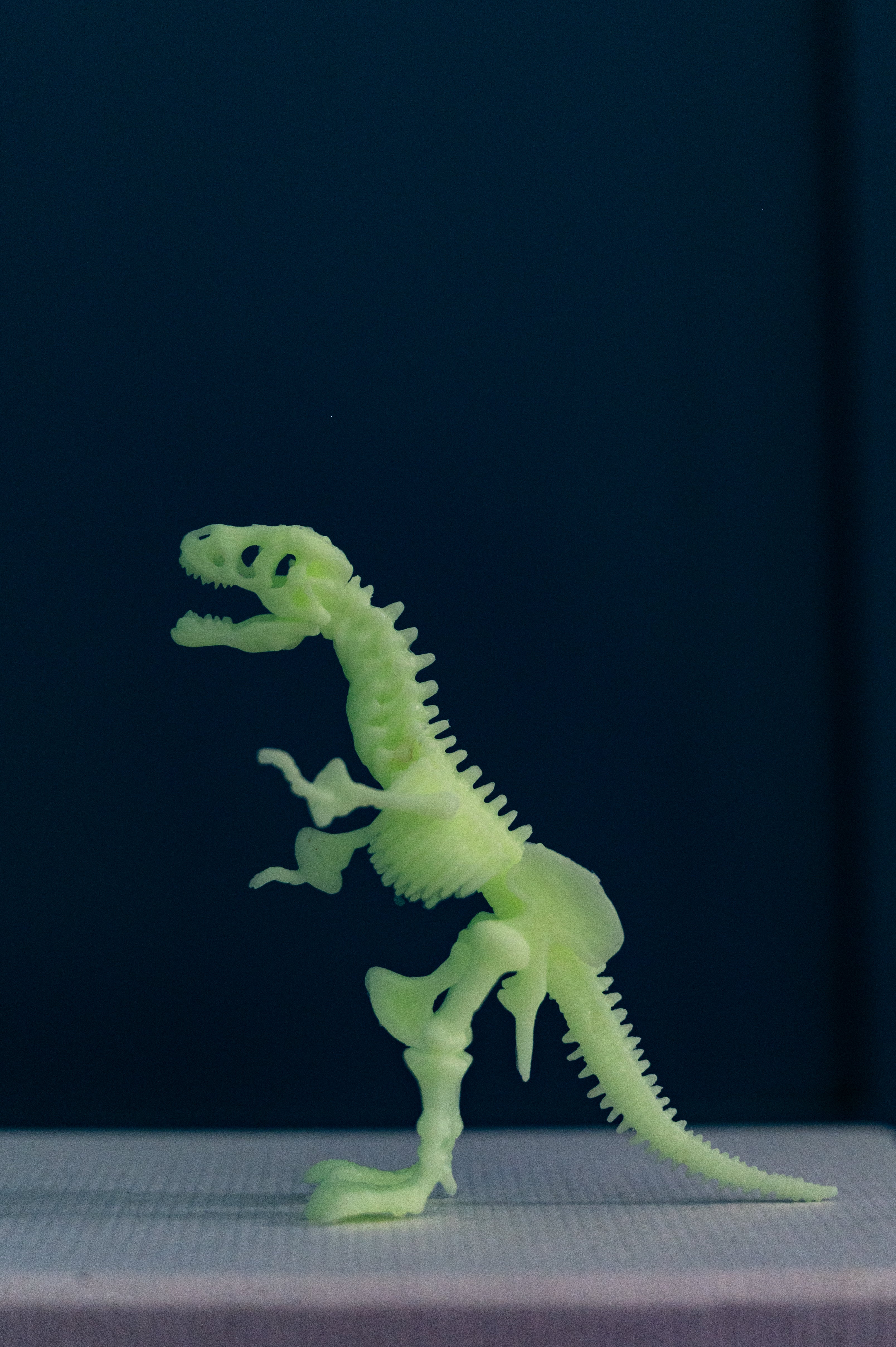 Esqueleto Brilla en la Oscuridad - TREX