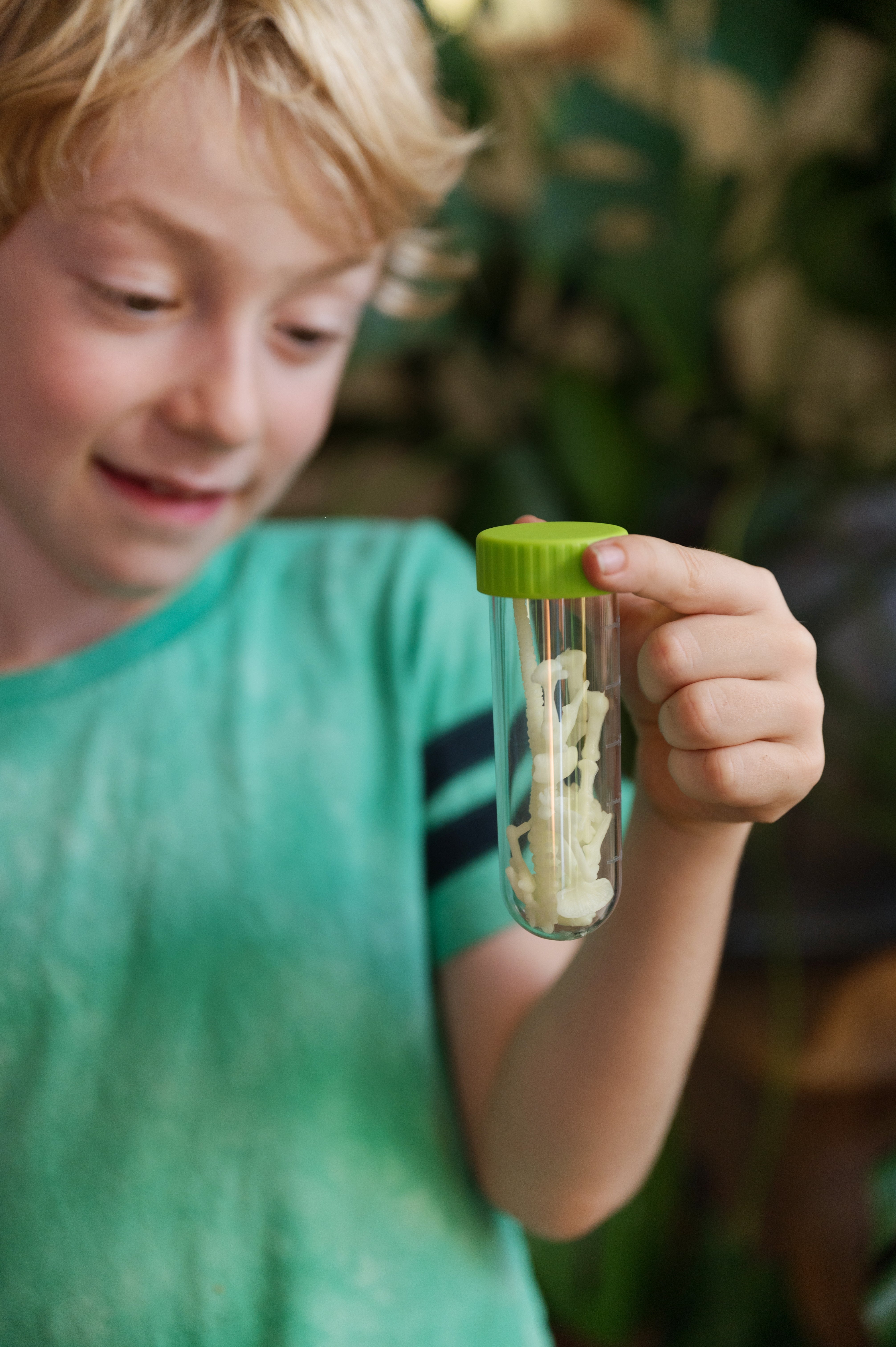 Esqueleto Brilla en la Oscuridad - TREX
