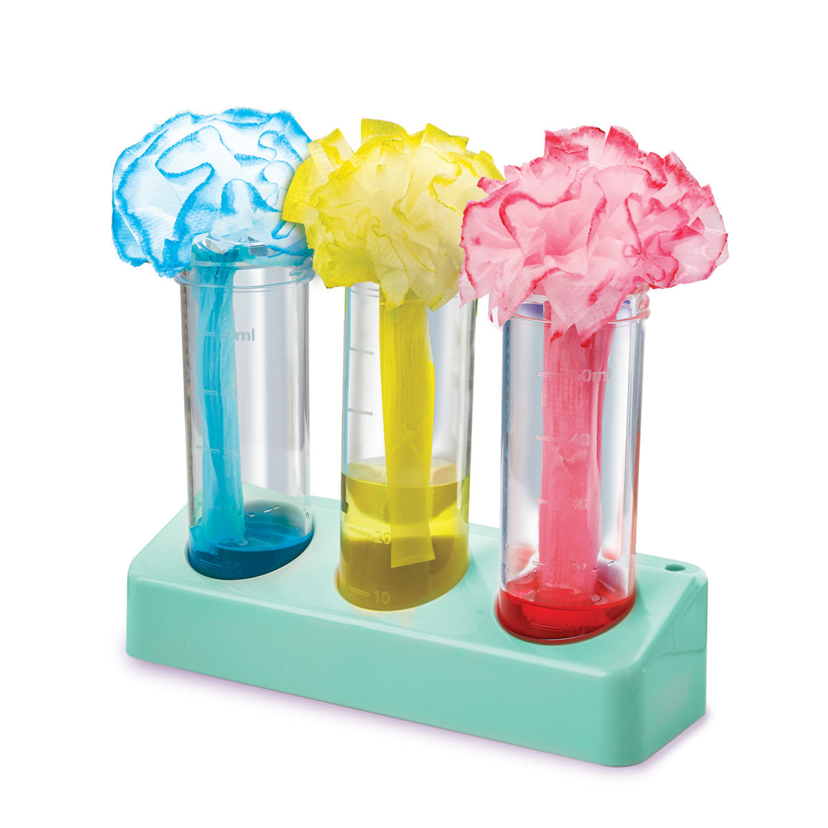 Laboratorio Colores y Burbujas