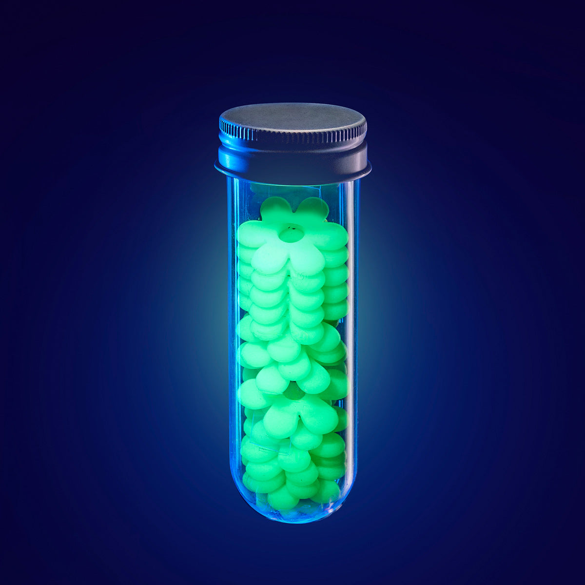WISH LAB/GLOW-IN-THE-DARK FLOWERS