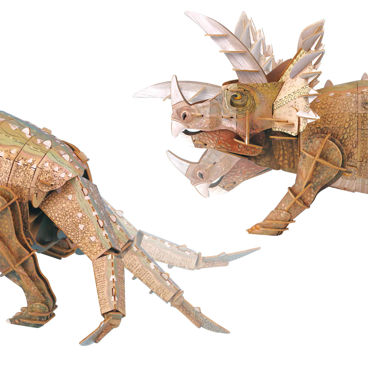 Rompecabezas 3D Articulado - Triceratops (Deluxe)