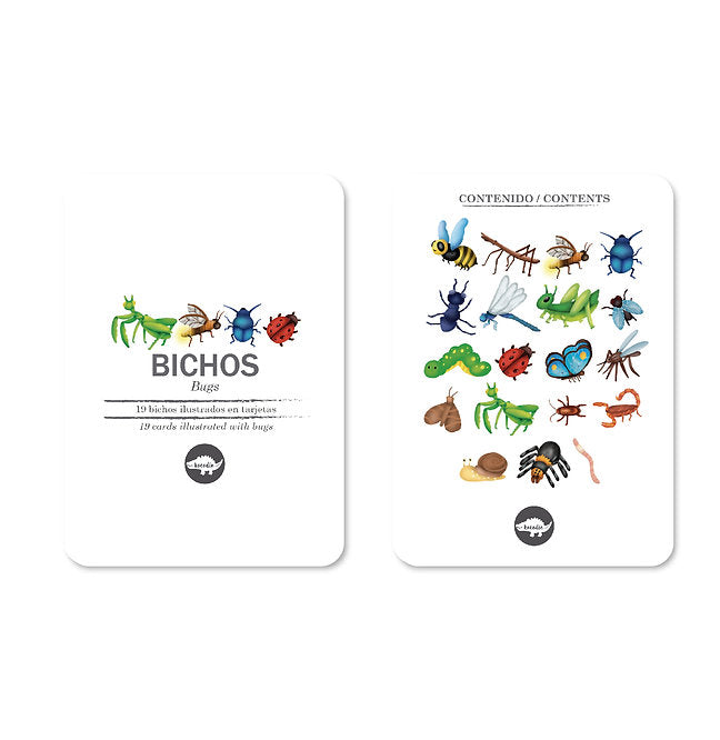 Flash Cards Bichos