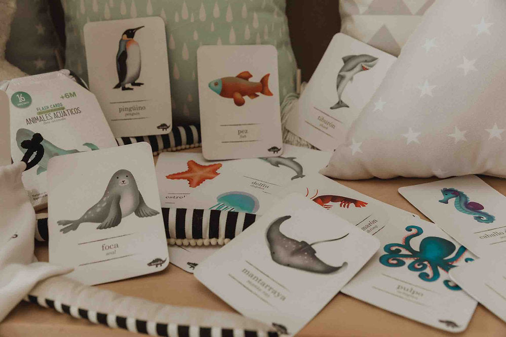 Flash Cards Animales Acuáticos