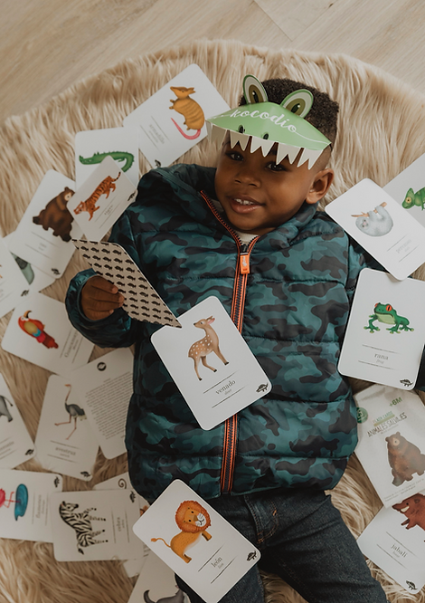 Flash Cards Animales Salvajes