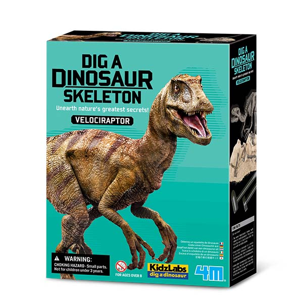 Excava un Velociraptor