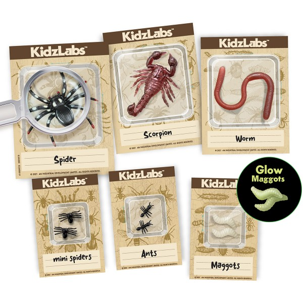 Kit Excavación Insectos
