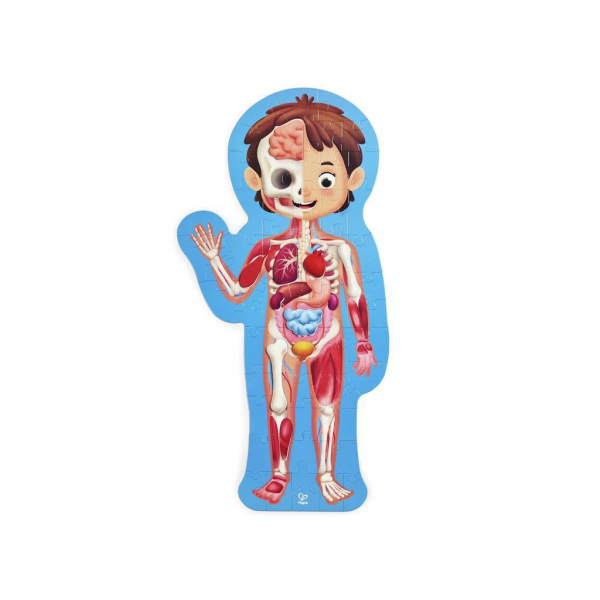 Rompecabezas del Cuerpo Humano
