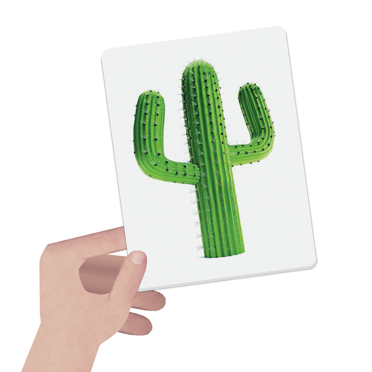 Flashcards Montessori Colores