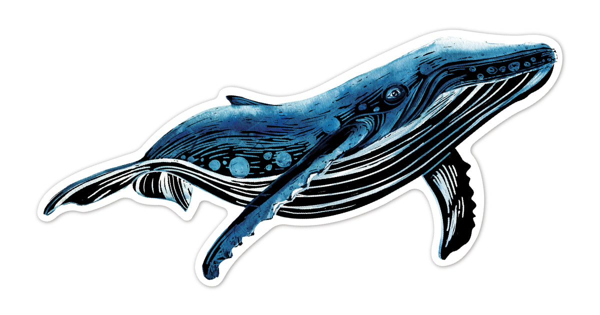 Srickers Scratch Animales del Mar