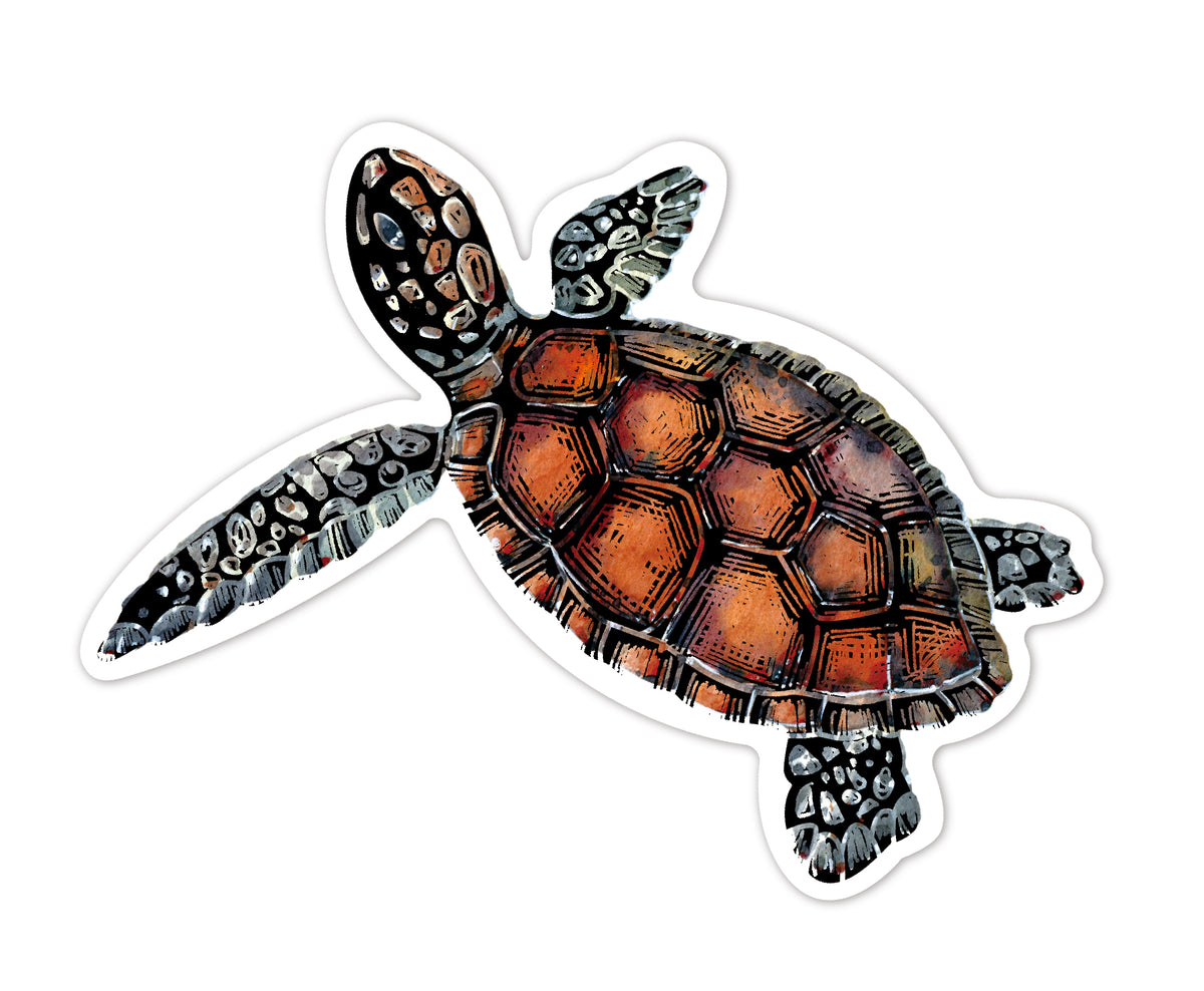 Srickers Scratch Animales del Mar