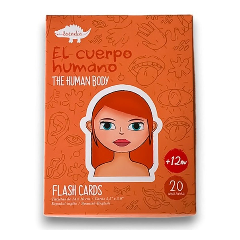 Flash Cards El Cuerpo Humano