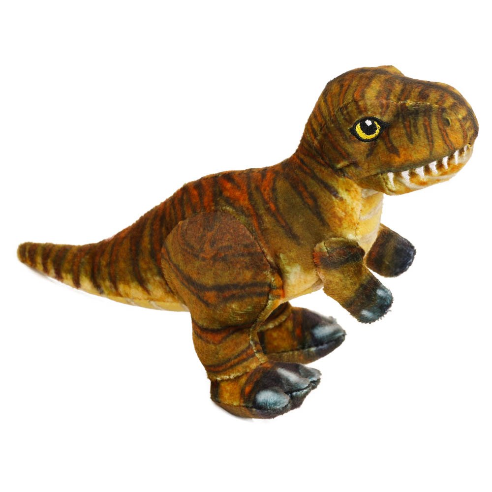 Tyrannosaurus Rex Pequeño - Museo Historia Natural