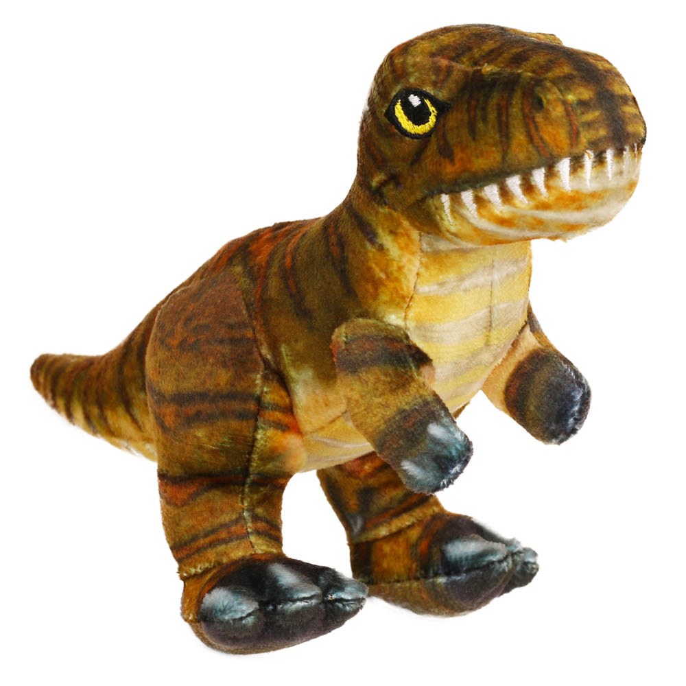 Tyrannosaurus Rex Pequeño - Museo Historia Natural