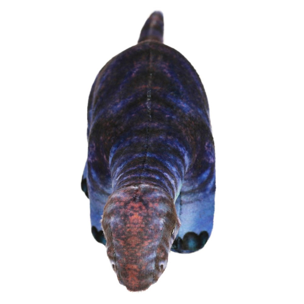 Diplodocus Pequeño - Museo Historia Natural