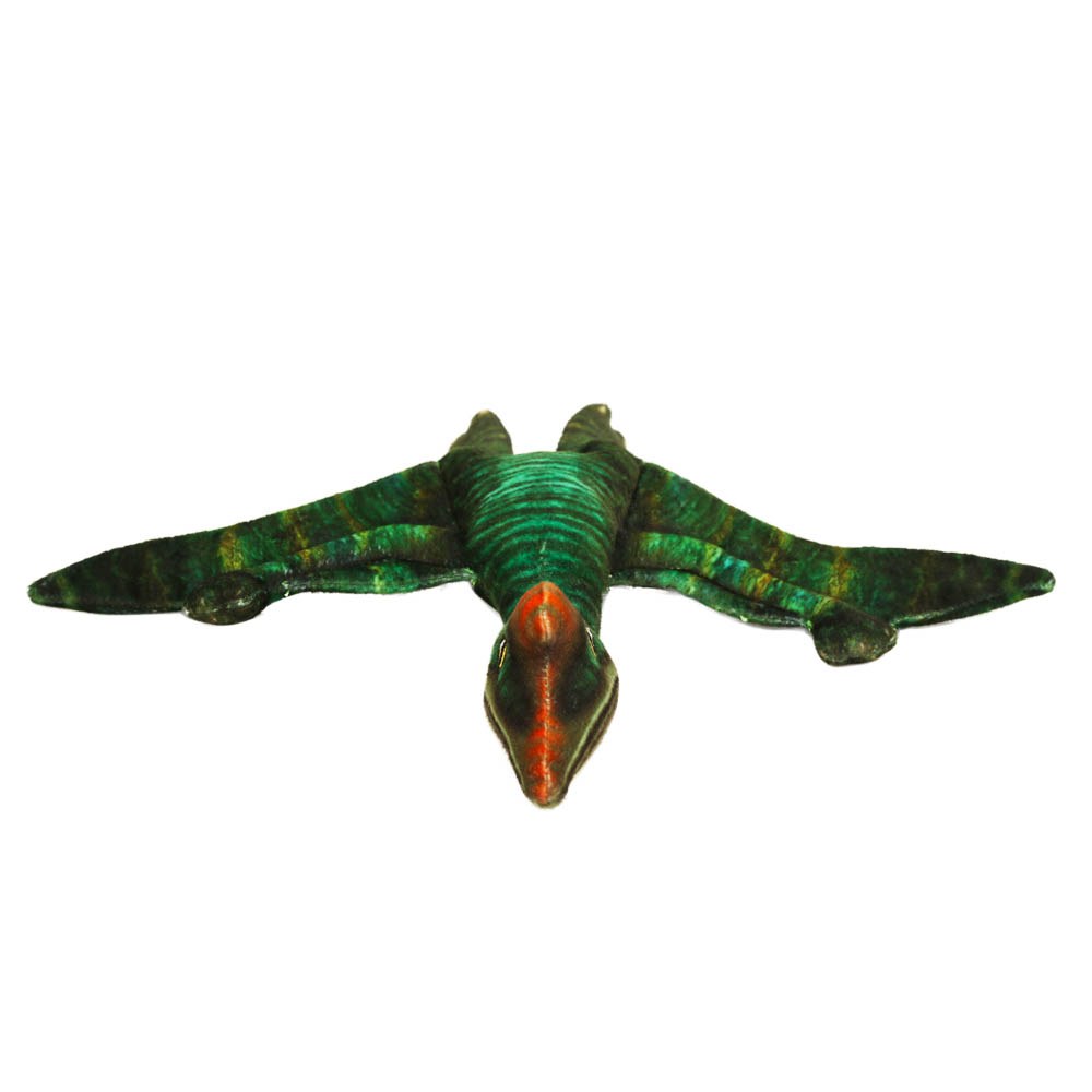 Quetzalcoatlus Pequeño - Museo Historia Natural