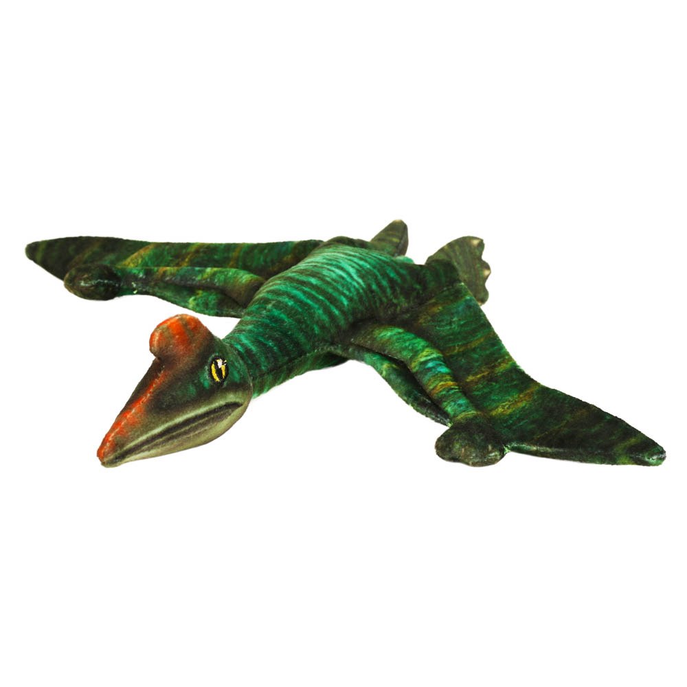 Quetzalcoatlus Pequeño - Museo Historia Natural