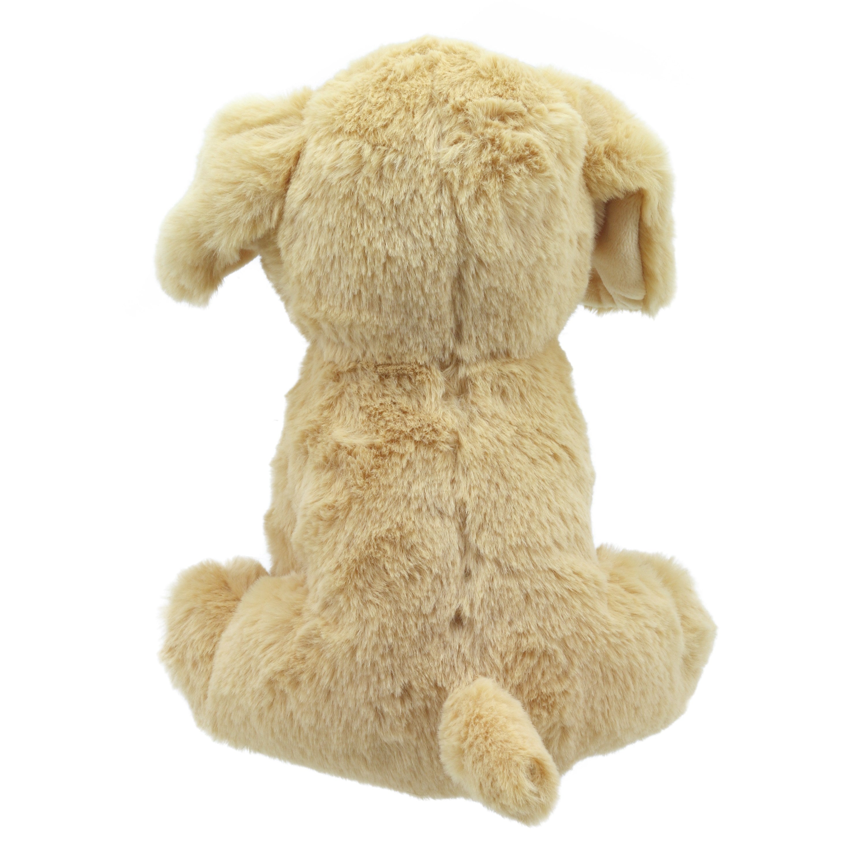 Lola - Labradora