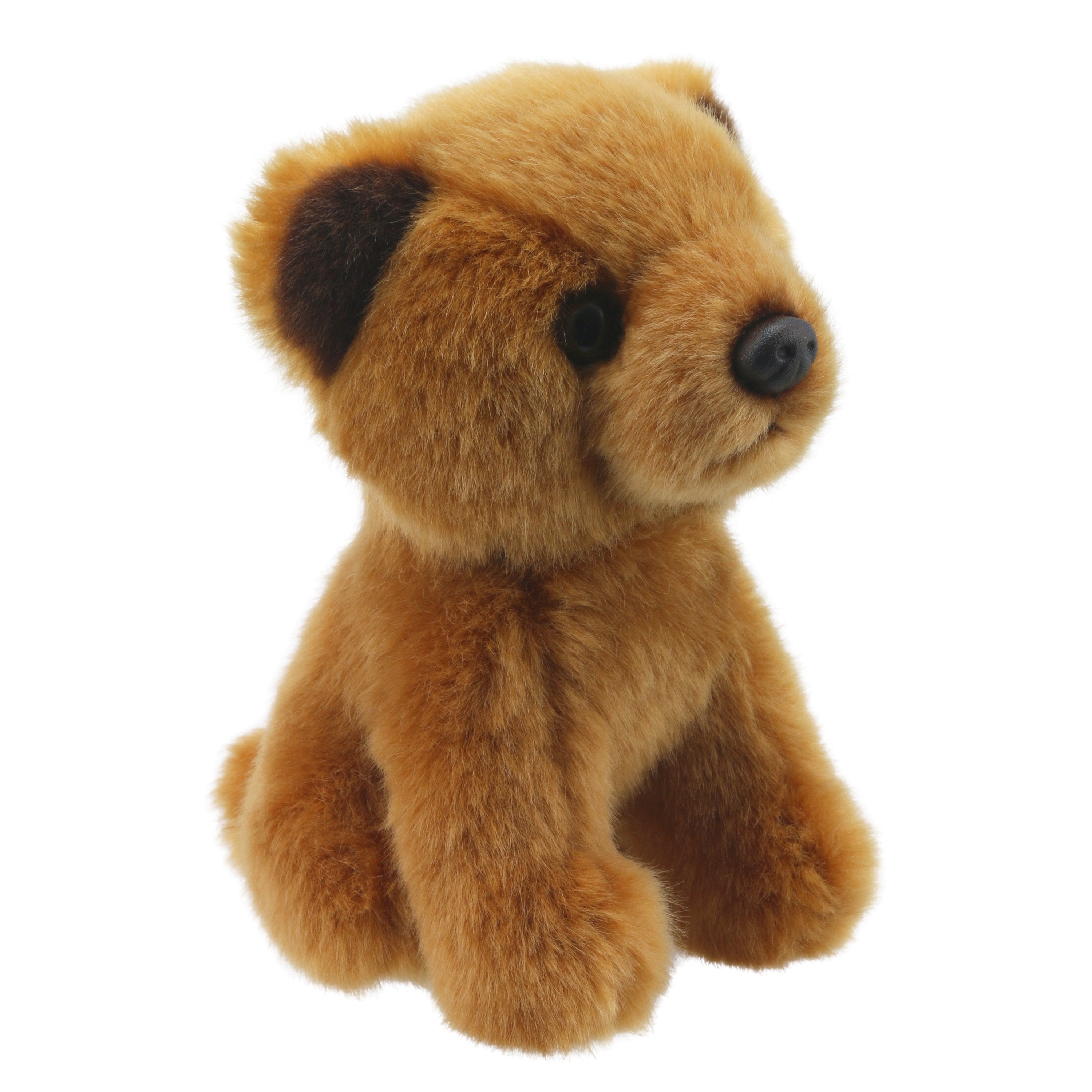 Wilberry Minis - Oso (Café)