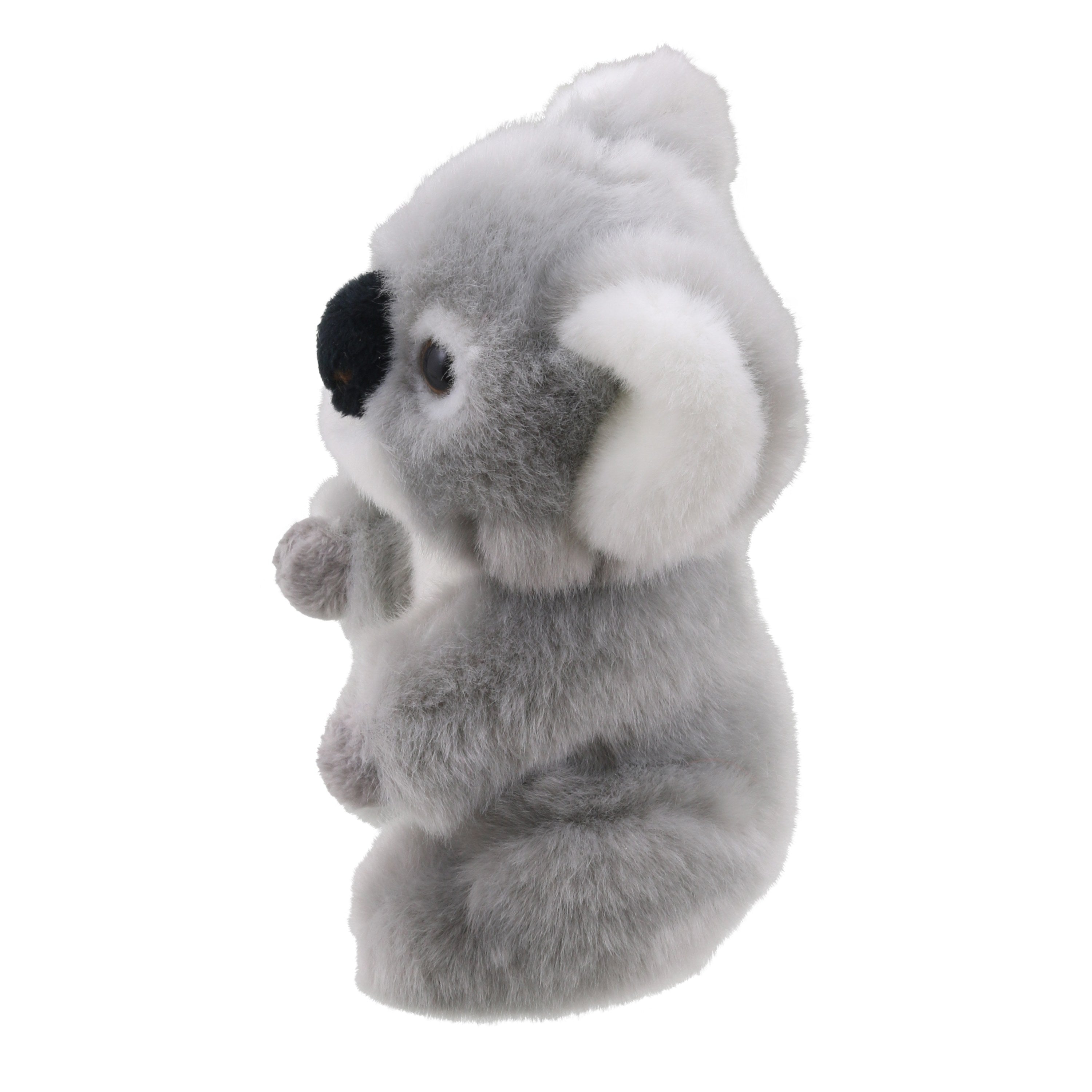 Wilberry Minis - Koala