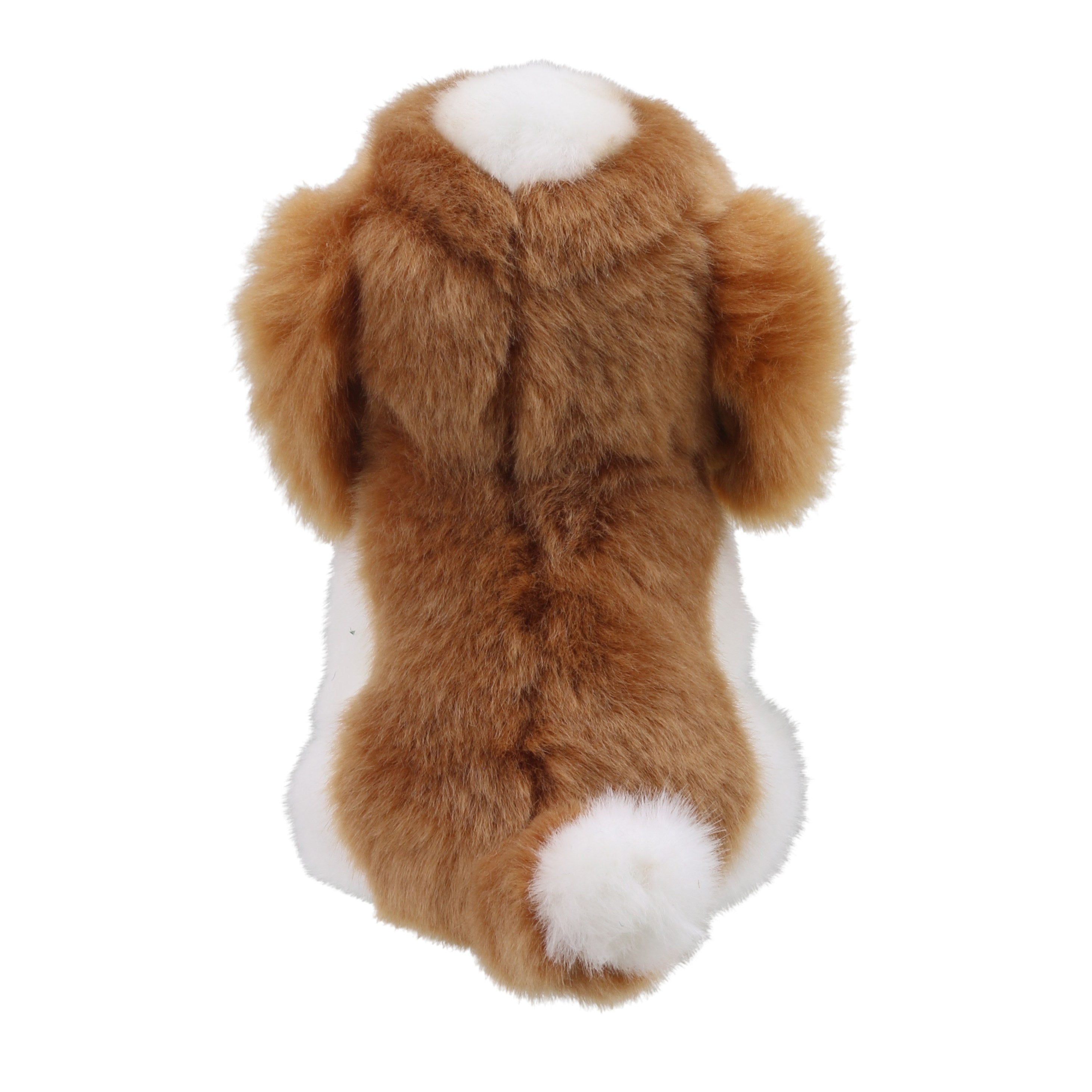 Wilberry Minis - King Charles Spaniel