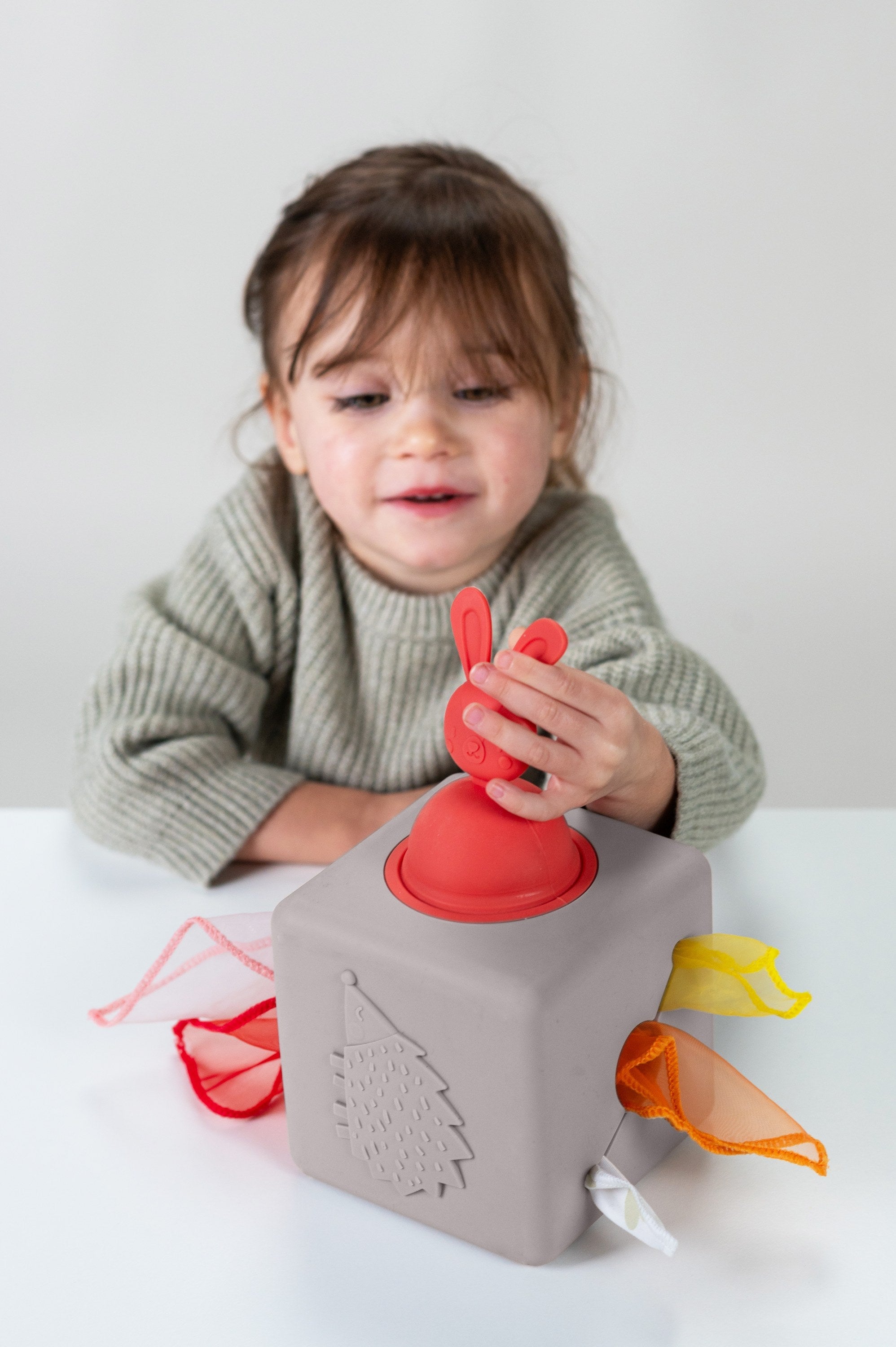 Caja de Pañuelos Taf Toys