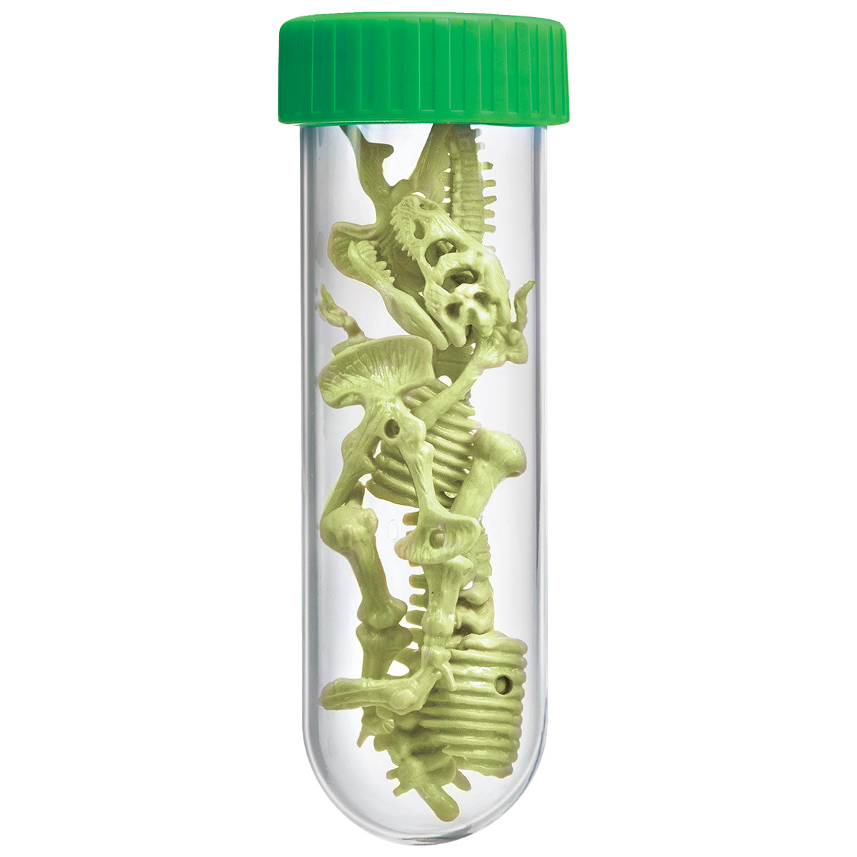 Esqueleto Brilla en la Oscuridad - TREX