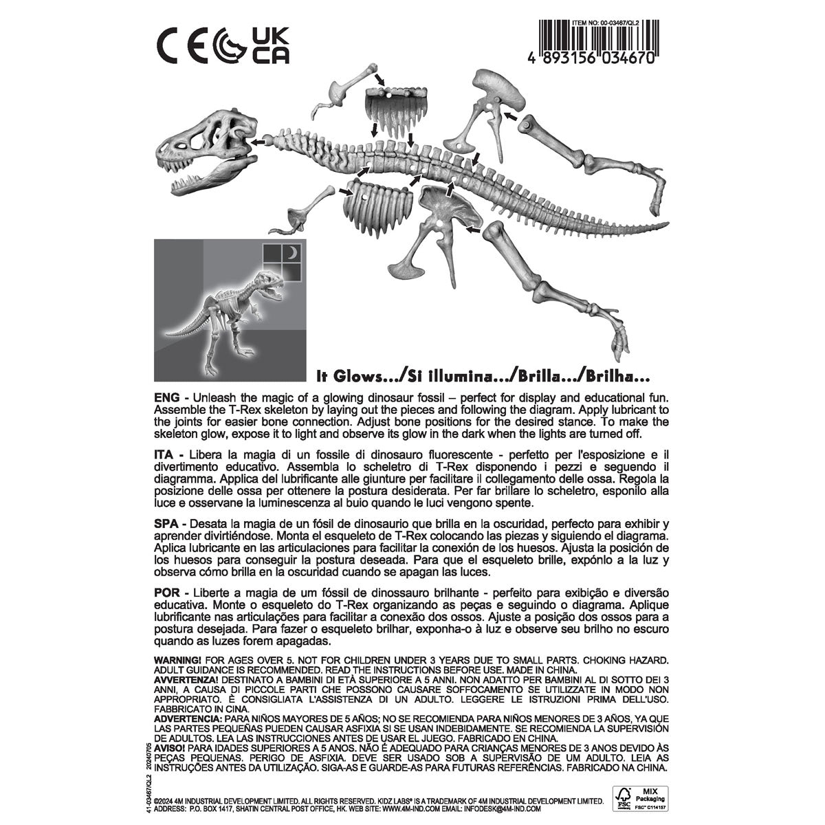 Esqueleto Brilla en la Oscuridad - TREX