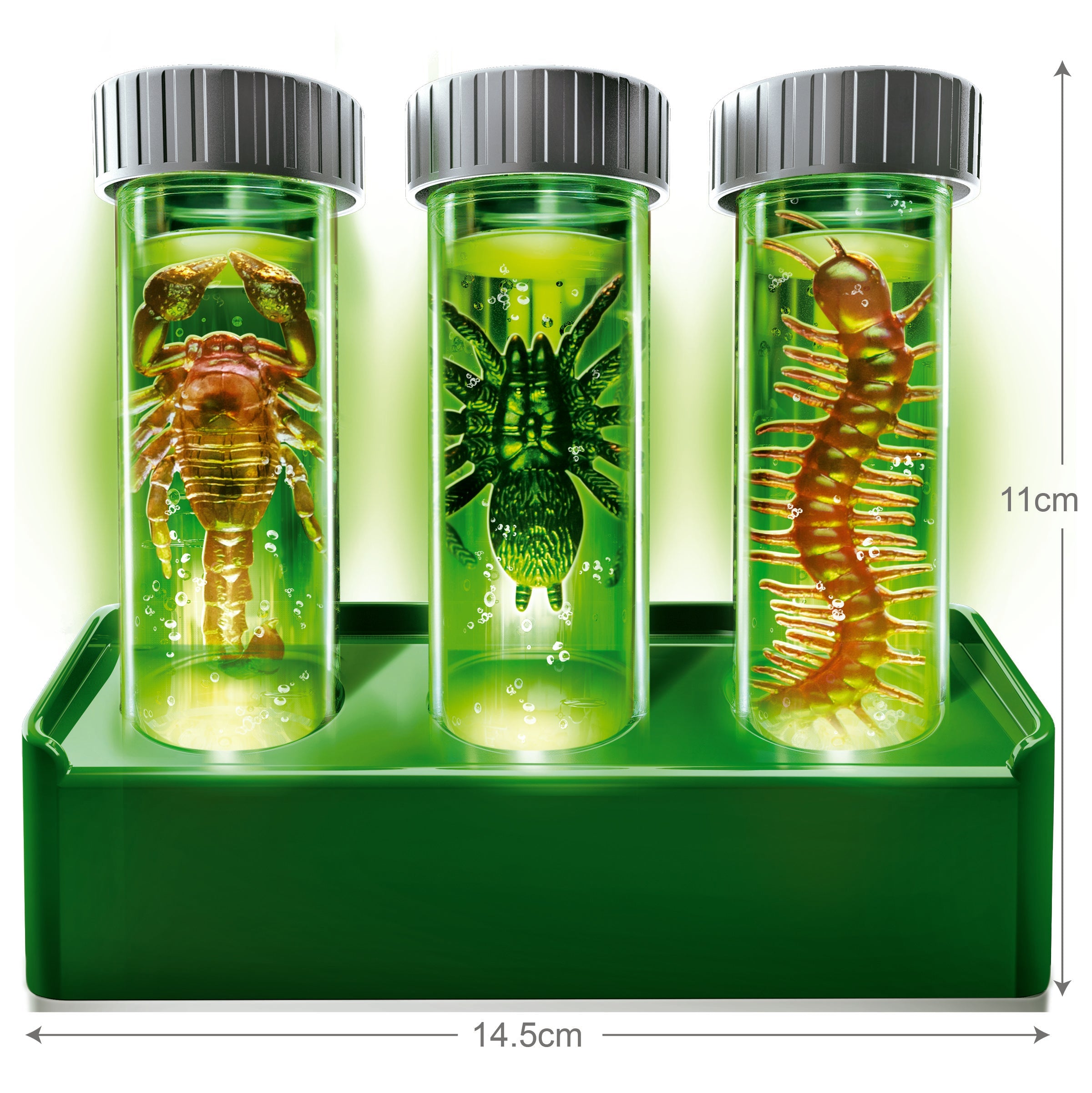 Laboratorio de Bichos Espeluznantes