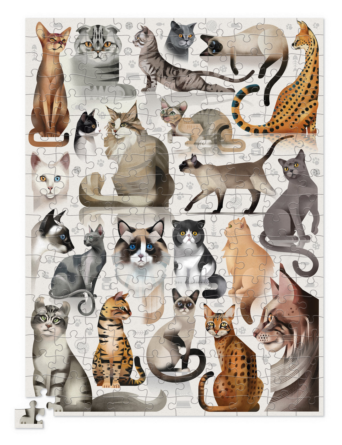 Rompecabezas 200 Piezas Gatos