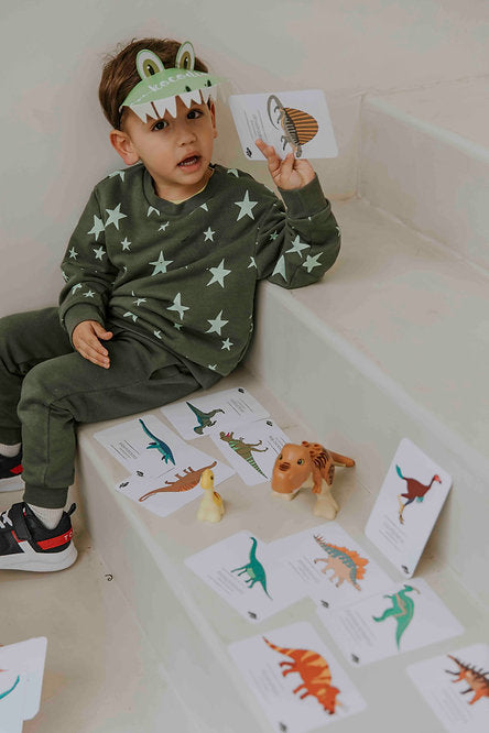 Flash Cards Dinosaurios