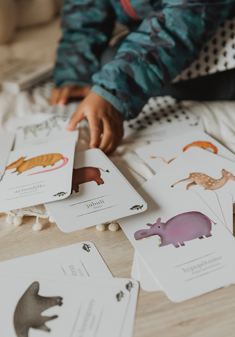Flash Cards Animales Salvajes
