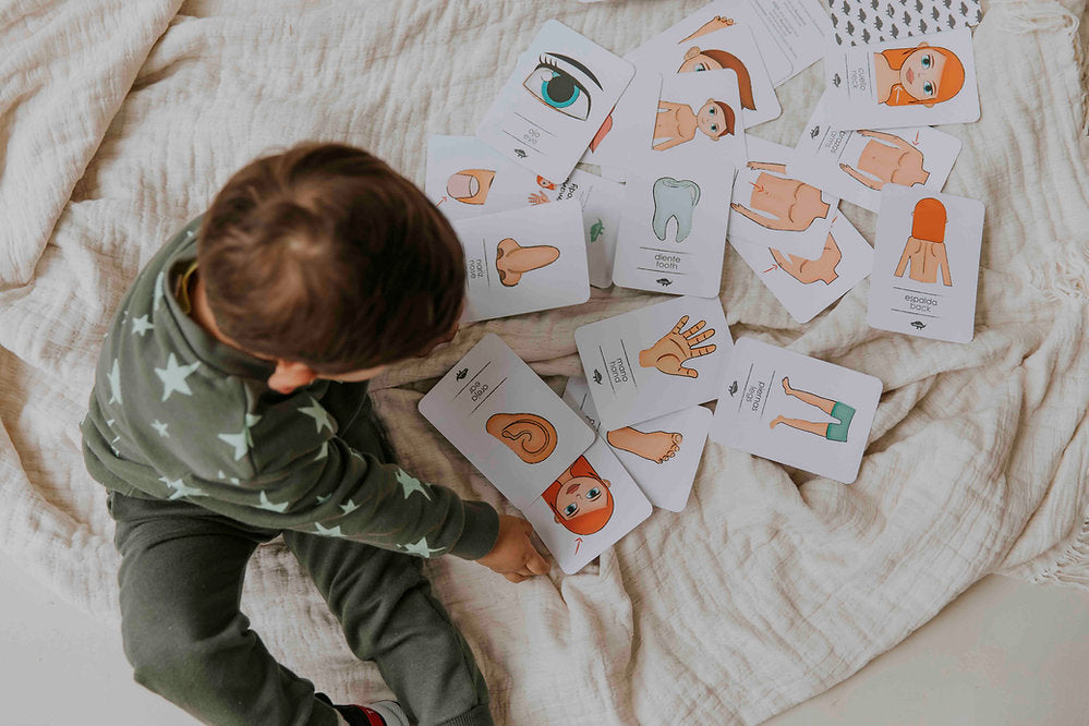 Flash Cards El Cuerpo Humano