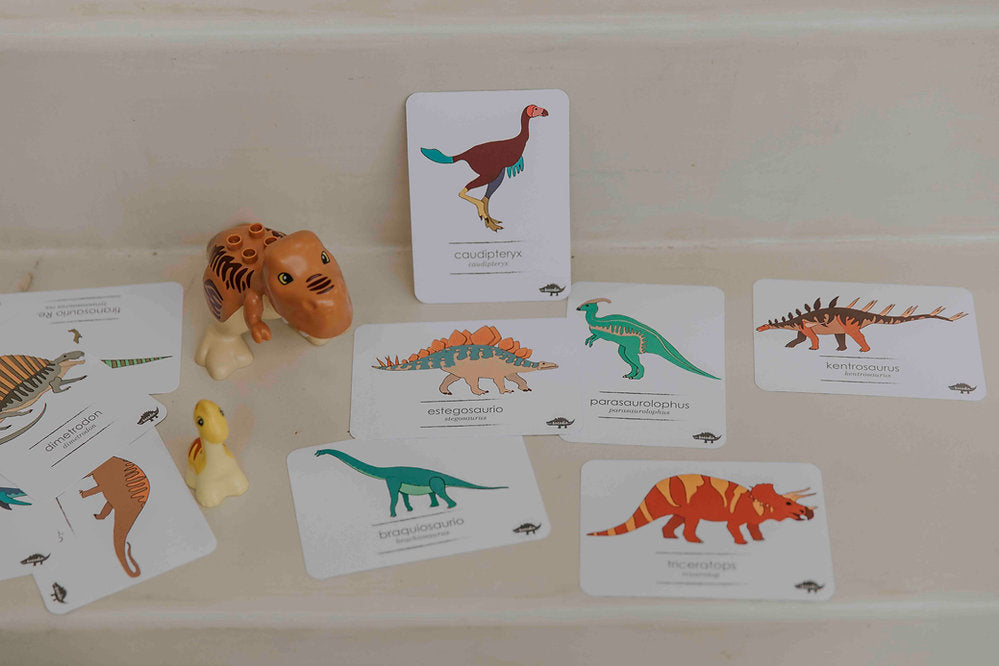 Flash Cards Dinosaurios