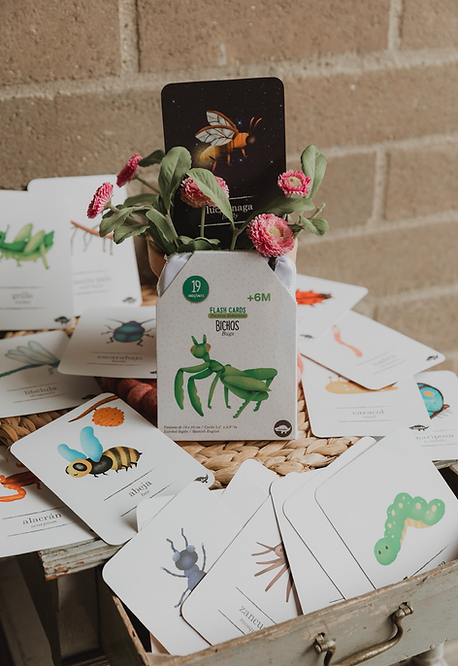 Flash Cards Bichos
