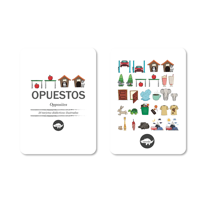 Flash Cards Opuestos