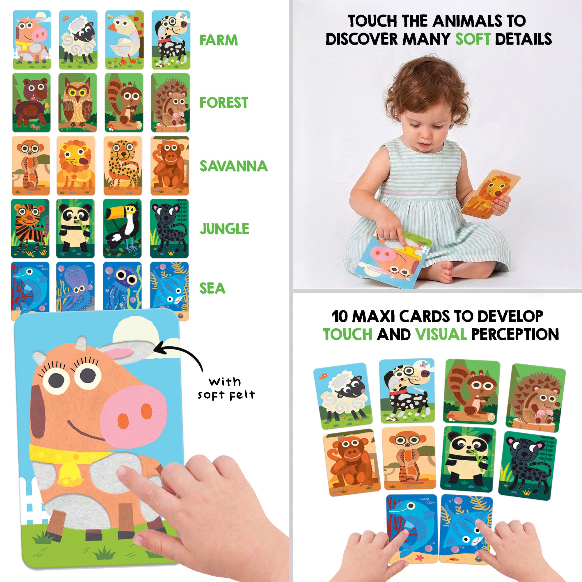 Flashcards Sueves Bebé