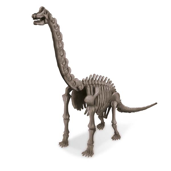 Excava tu Braquiosaurio