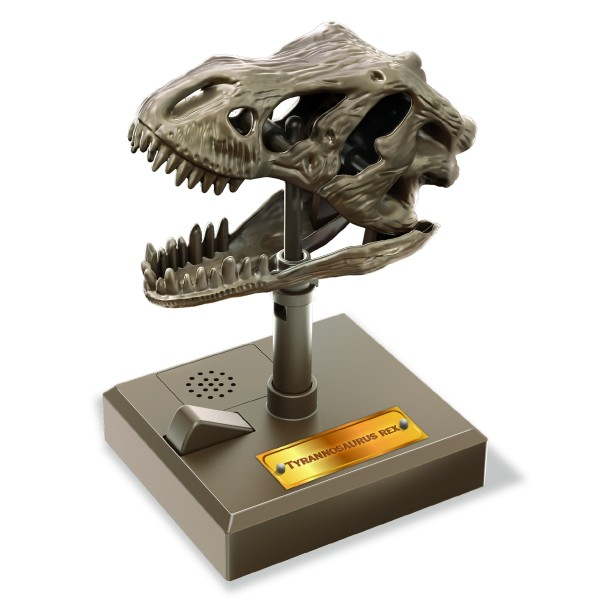 Craneo de T-Rex