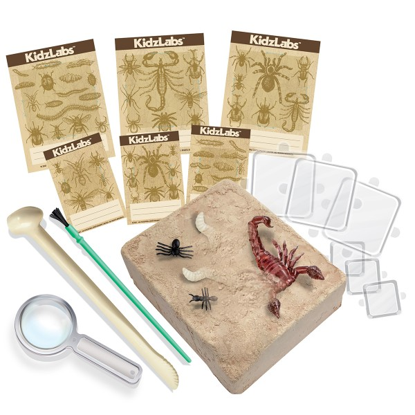 Kit Excavación Insectos