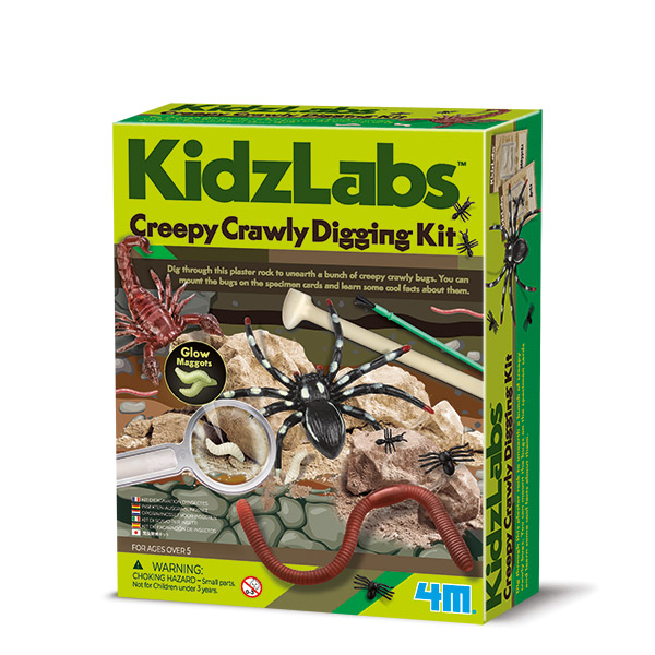 Kit Excavación Insectos