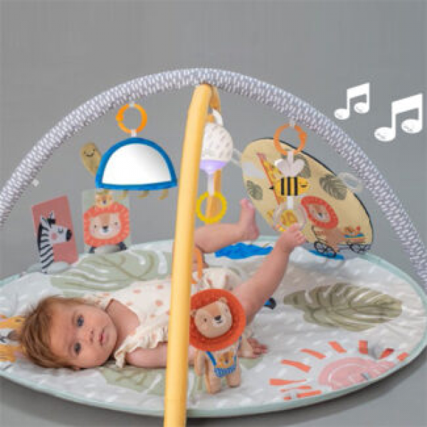 Gimnasio Musical Jungla
