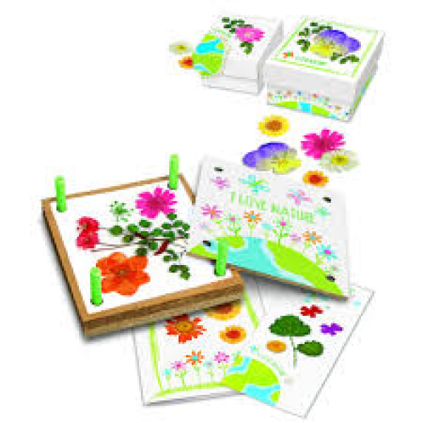 Arte Con Flores Prensadas