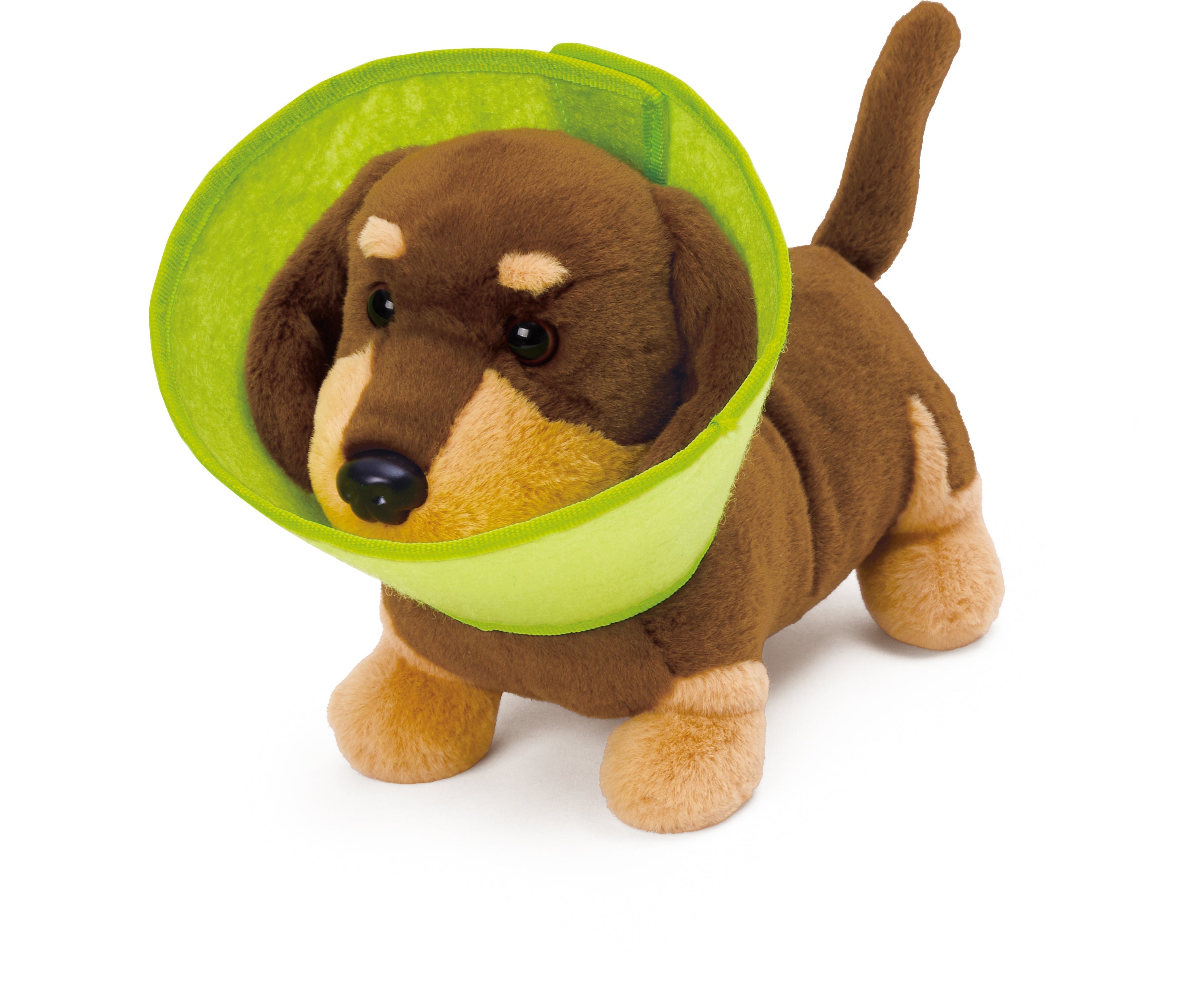 Clínica Veterinaria