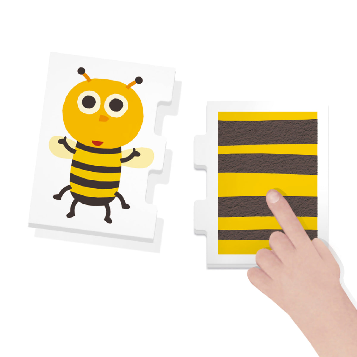 Toca y Observa Montessori