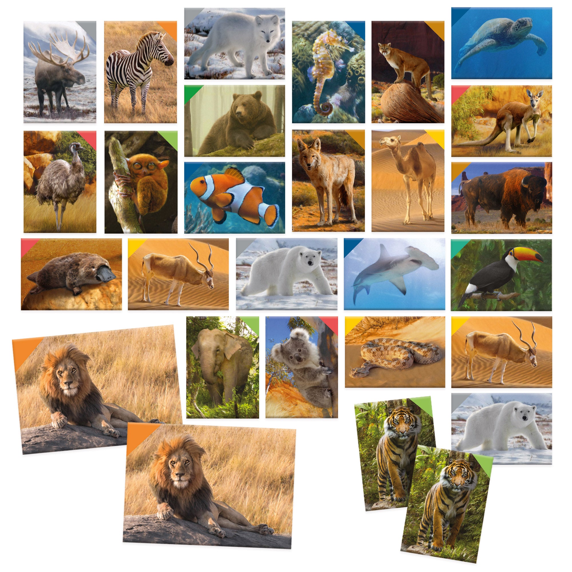 Memorix Animales