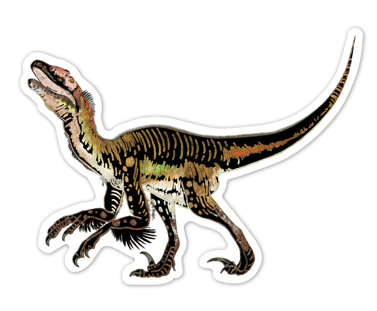 Srickers Scratch Dinosaurios