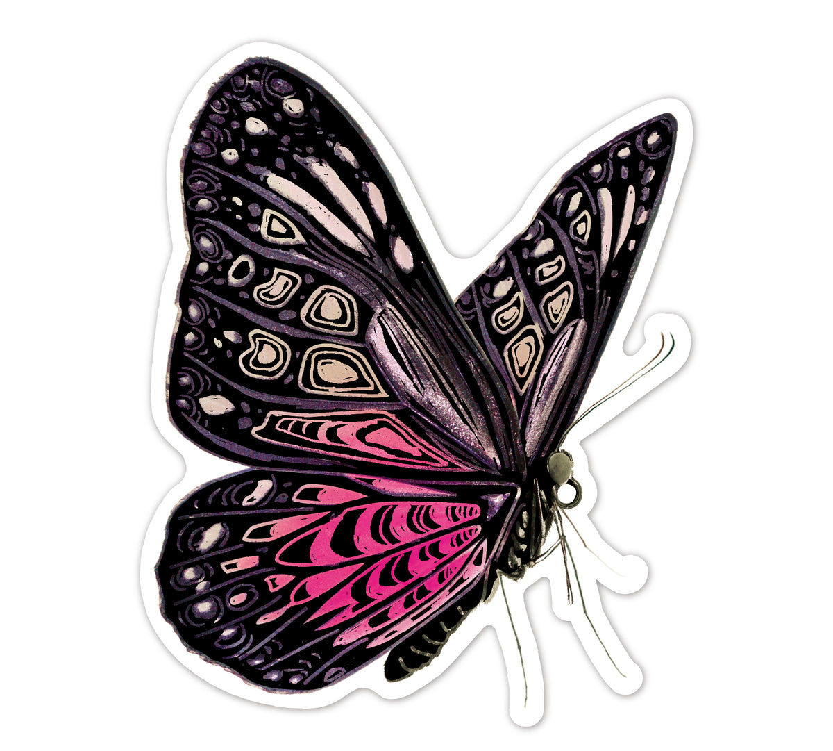 Srickers Scratch Mariposas