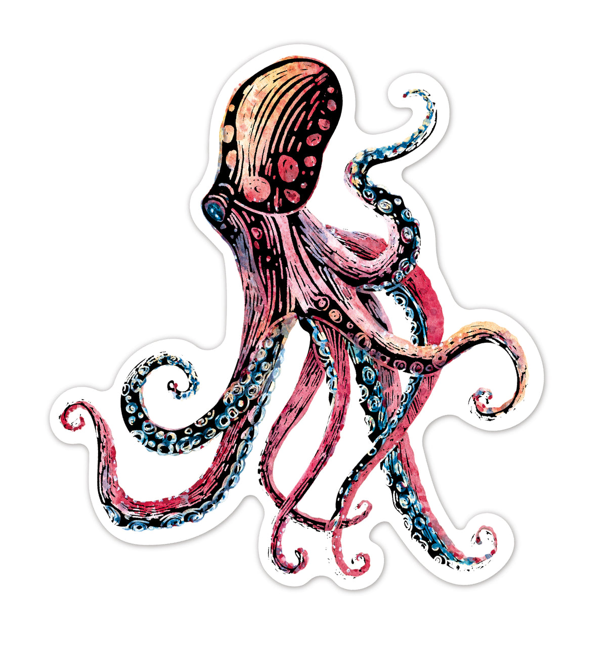 Srickers Scratch Animales del Mar