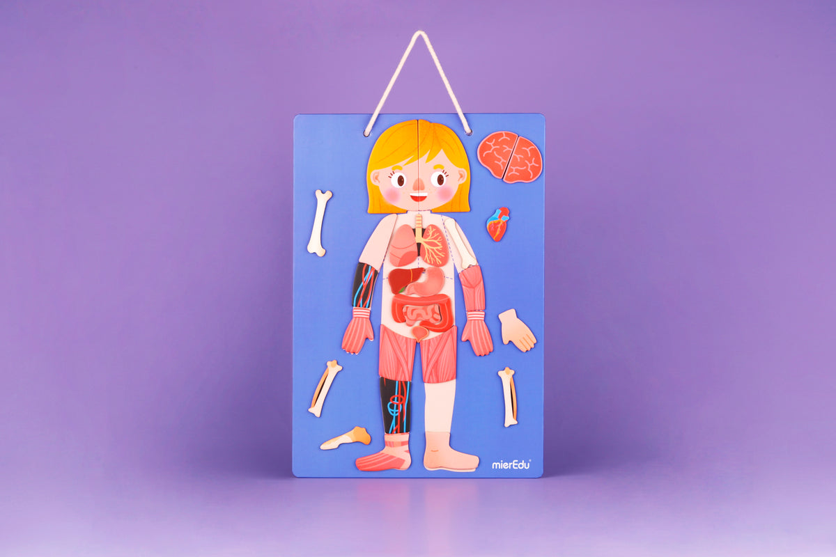 Todo Sobre el Cuerpo y las Emociones - Rompecabezas Magnético