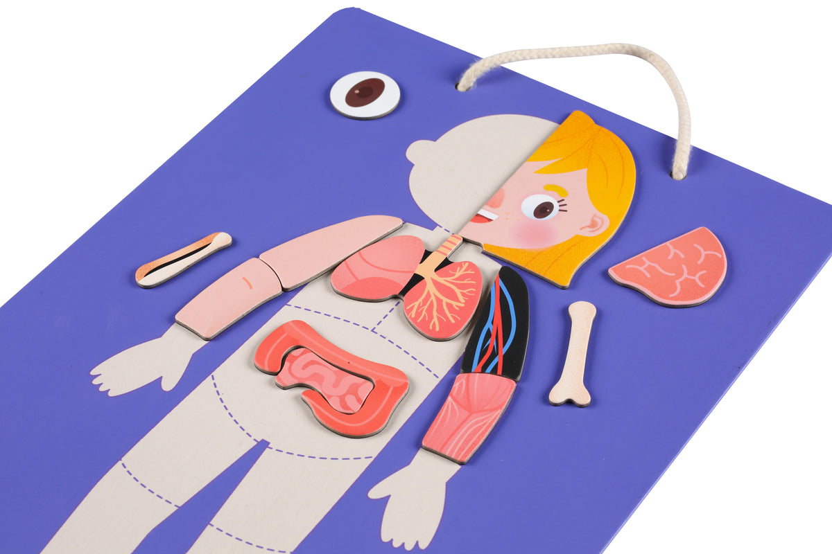 Todo Sobre el Cuerpo y las Emociones - Rompecabezas Magnético